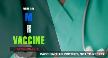 Understanding the MMR Vaccine: Measles, Mumps, Rubella Protection Explained