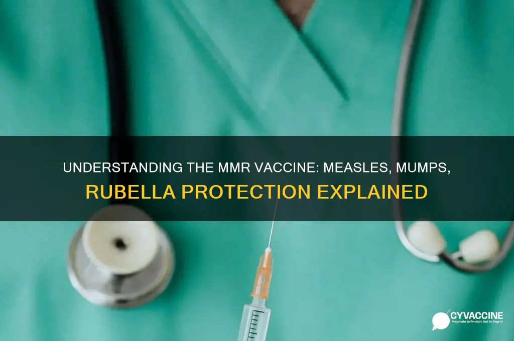 what is m m r vaccine