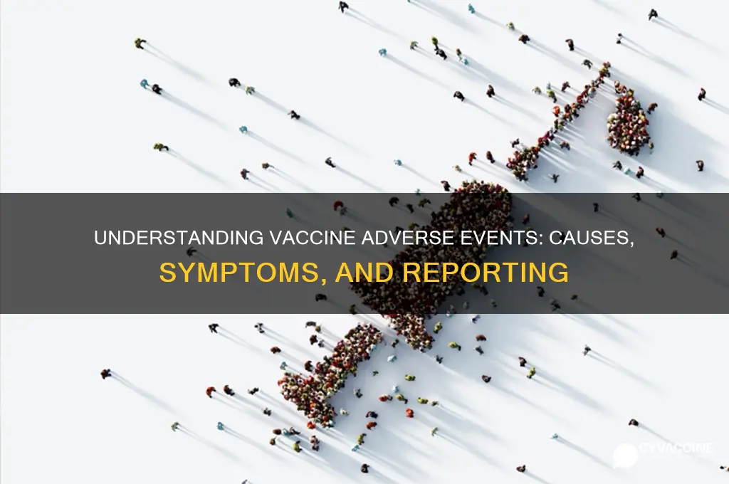 what is meant by a vaccine adverse event