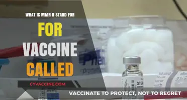 Understanding MMR II: The Vaccine's Meaning and Importance Explained