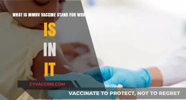 MMRV Vaccine Explained: Ingredients, Purpose, and What It Stands For