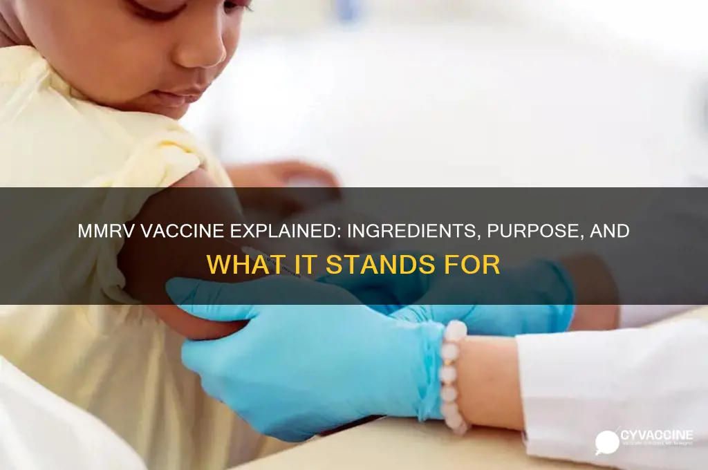 what is mmrv vaccine stand for what is in it