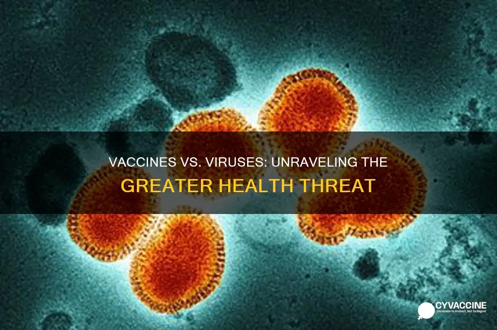 what is more dangerous vaccines or common viruses