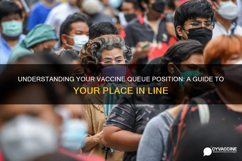what is my place in line for the vaccine