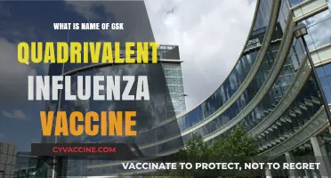 GSK's Quadrivalent Influenza Vaccine: Name, Benefits, and Protection Explained