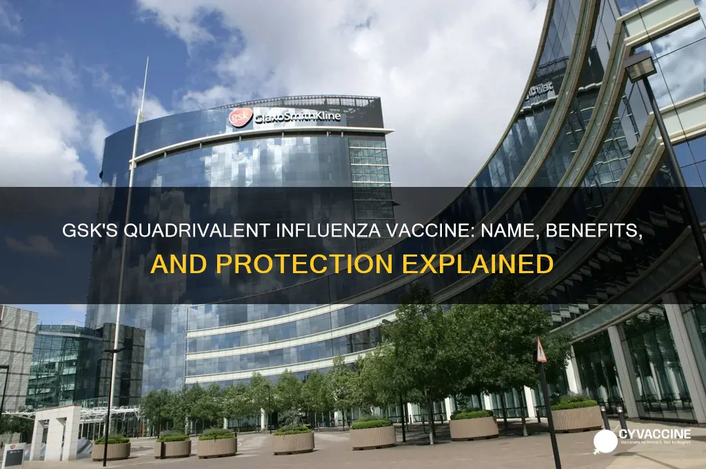 what is name of gsk quadrivalent influenza vaccine