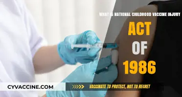 Understanding the 1986 National Childhood Vaccine Injury Act