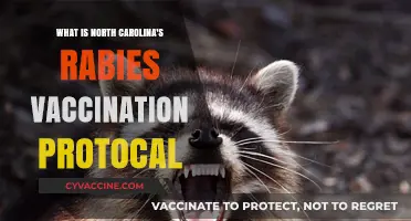 North Carolina's Rabies Vaccination Protocol: Guidelines and Requirements Explained