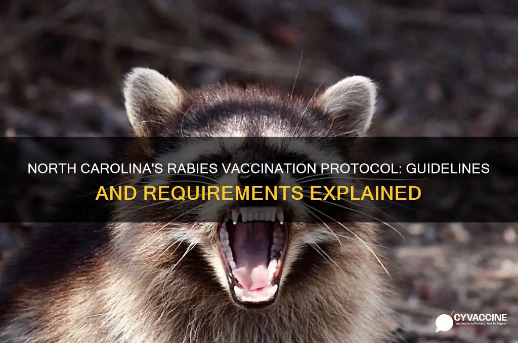 what is north carolina