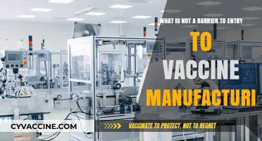 Breaking Myths: What Doesn’t Block Vaccine Manufacturing Entry