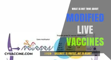 Debunking Myths: The Truth About Modified Live Vaccines