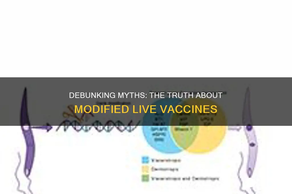 what is not true about modified live vaccines