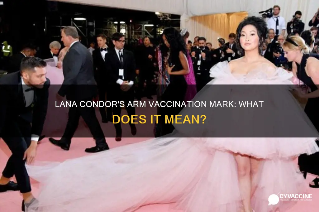what is on lana condor