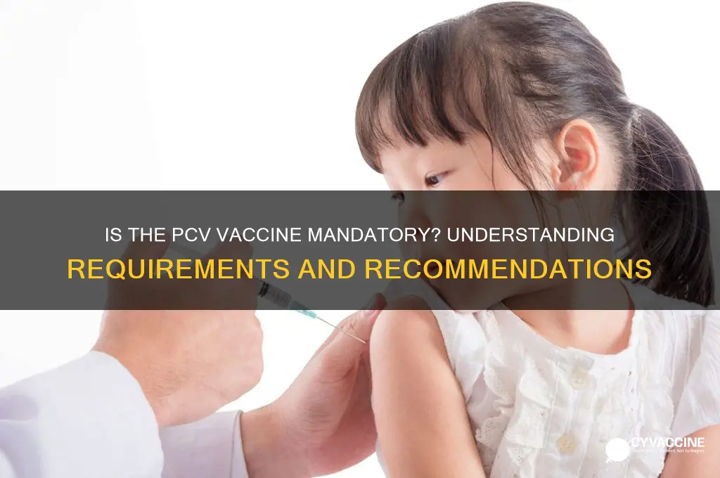 what is pcv vaccine is mandatory or not