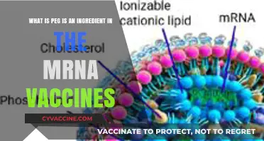 PEG in mRNA Vaccines: Understanding Its Role and Importance