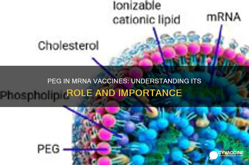 what is peg is an ingredient in the mrna vaccines