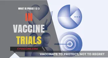 Understanding Vaccine Development: Phase 1, 2, and 3 Trial Stages Explained