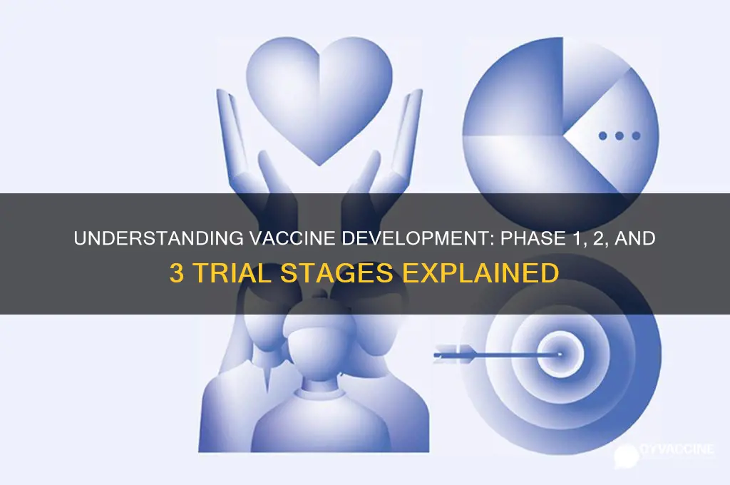 what is phase 1 2 3 in vaccine trials