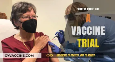 Understanding Phase 1: The Crucial First Step in Vaccine Trials