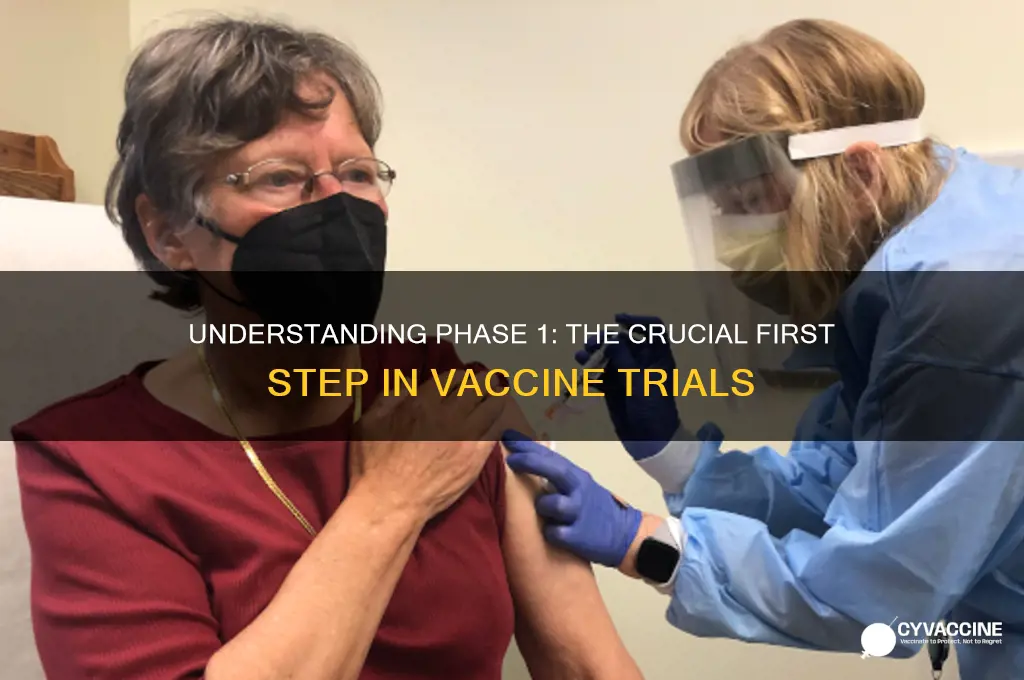 what is phase 1 of a vaccine trial