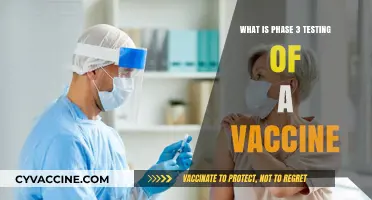 Understanding Phase 3 Vaccine Testing: Safety, Efficacy, and Approval Process