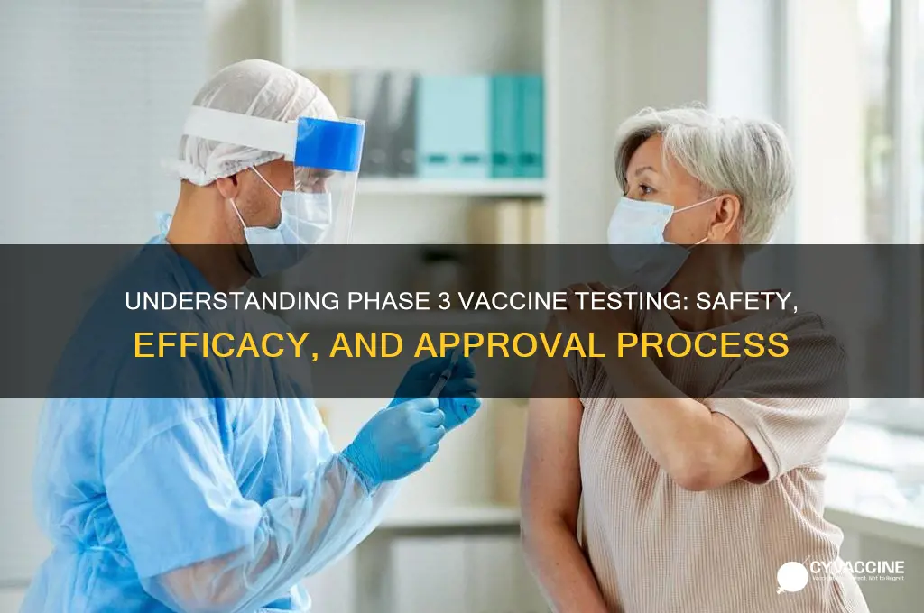 what is phase 3 testing of a vaccine