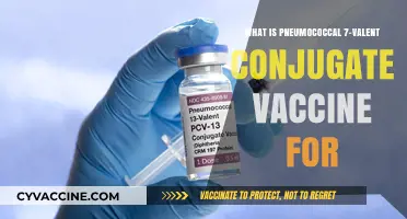 Understanding the Purpose of Pneumococcal 7-Valent Conjugate Vaccine