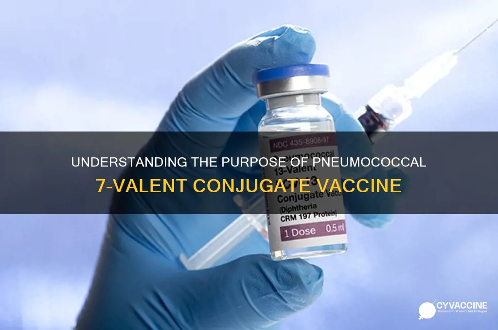 what is pneumococcal 7-valent conjugate vaccine for