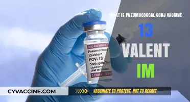 Understanding Pneumococcal Conjugate Vaccine 13-Valent: Benefits and Uses