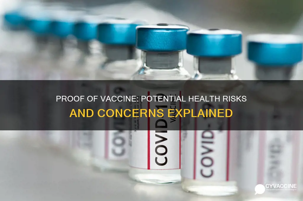 what is proof of vaccine may comprimise health