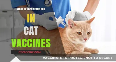 Understanding RCPC in Cat Vaccines: Meaning, Importance, and Benefits