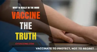 Unveiling the MMR Vaccine: Ingredients, Safety, and the Real Facts