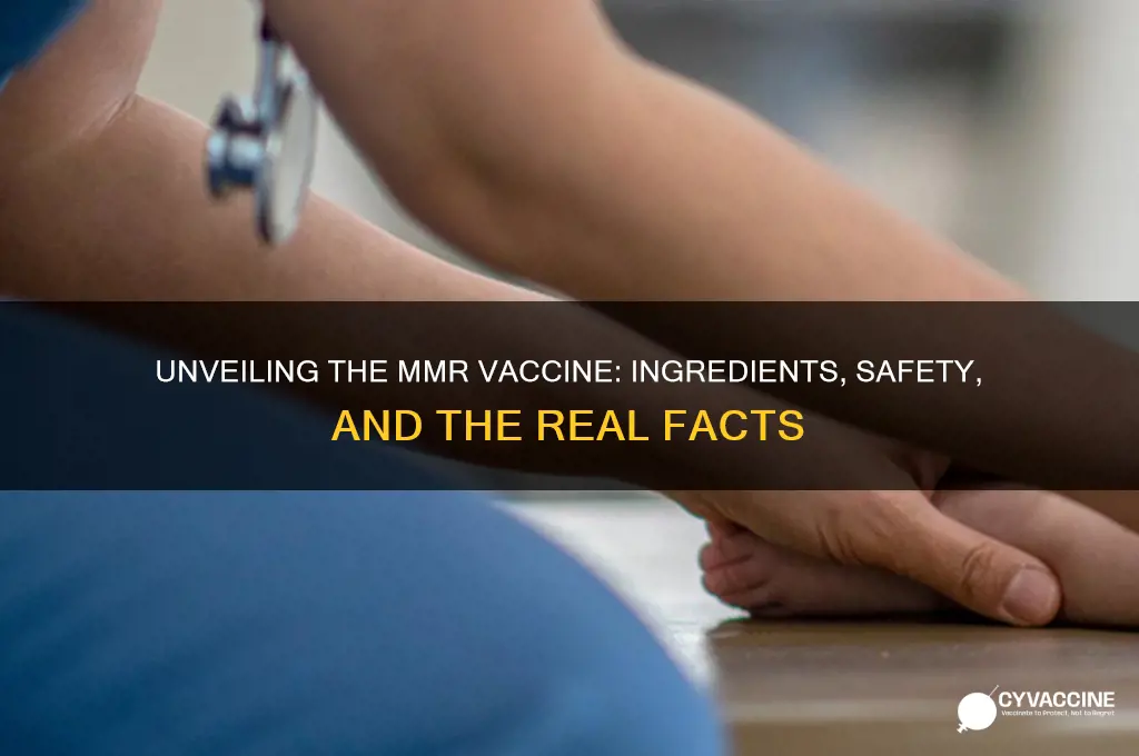 what is really in the mmr vaccine the truth