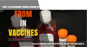 Recombinant Human Albumin in Vaccines: Origins and Applications Explained