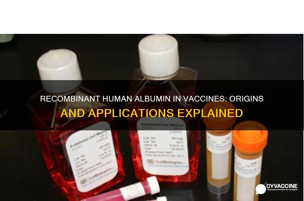 what is recombinant human albumin derived from in vaccines