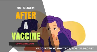 Understanding Post-Vaccine Shedding: Myths, Facts, and What to Expect