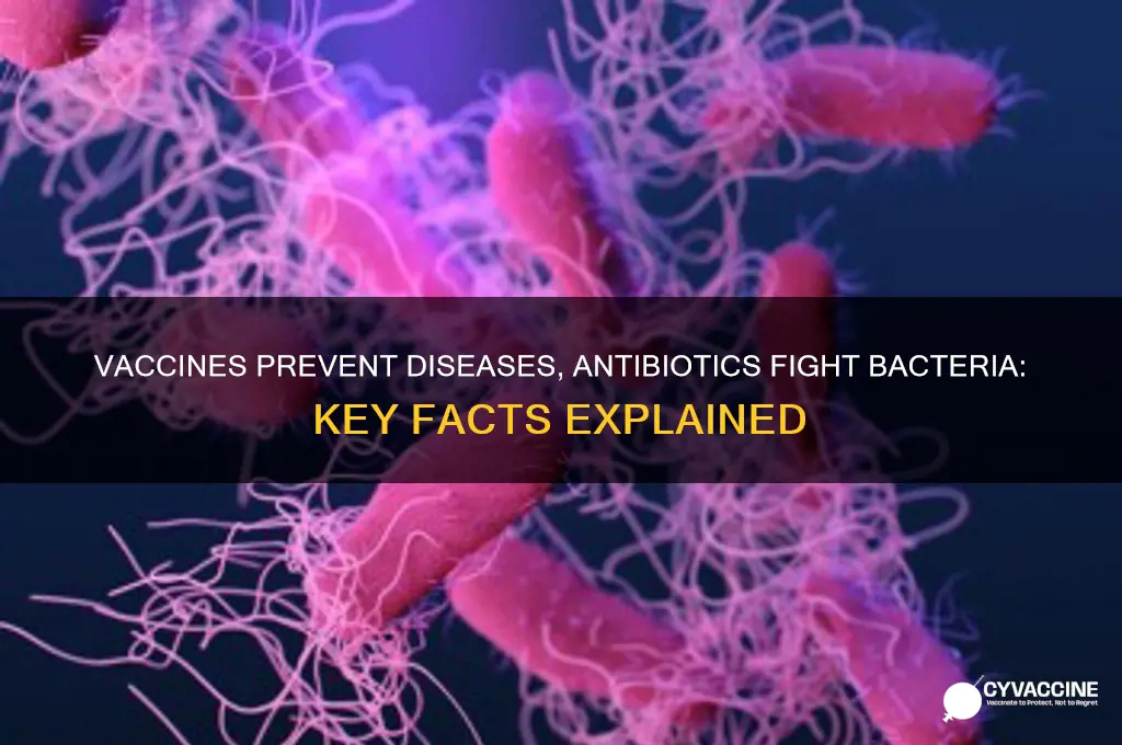 what is something true about vaccines and antibiotics