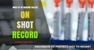 Understanding the TB Vaccine Name on Your Immunization Record