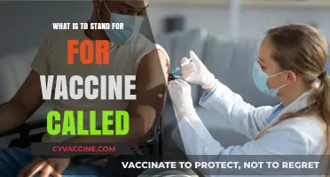 Understanding TD: What Does TD Stand for in Vaccines?