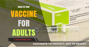 Understanding the Tdap Vaccine: Essential Protection for Adults Explained