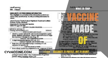 Understanding the Tdap Vaccine: Ingredients, Composition, and Purpose Explained