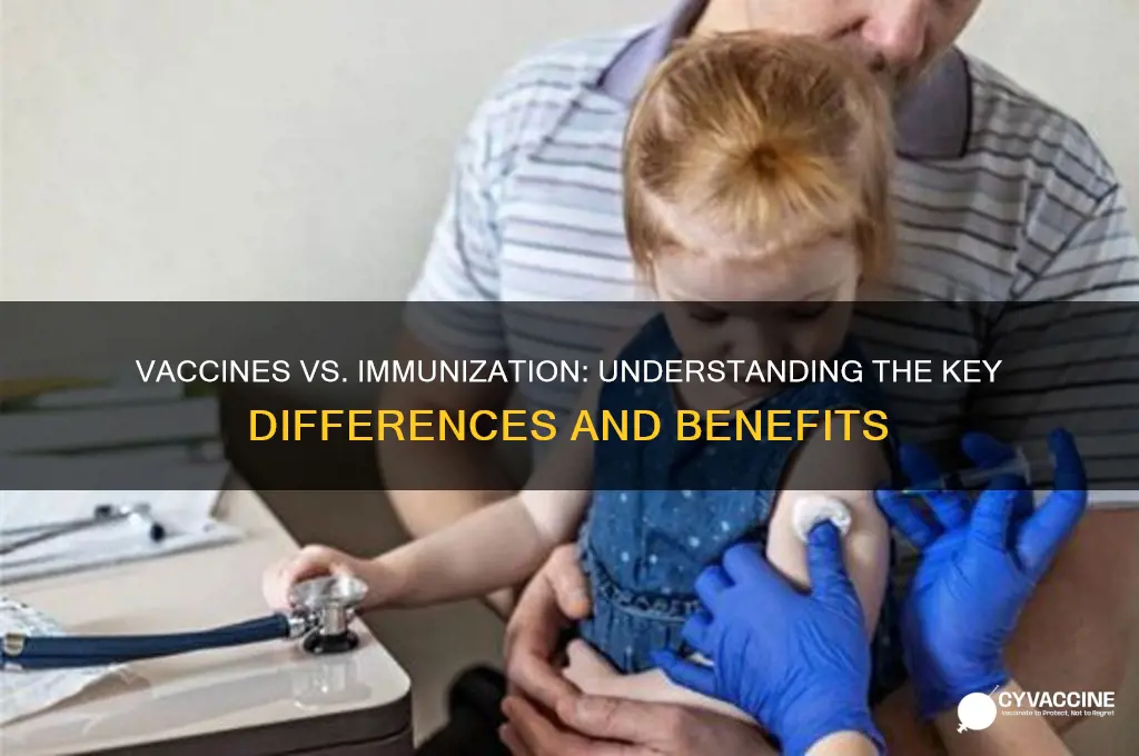 what is th difference between a vaccine and an immunization