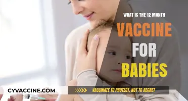 Understanding Your Baby's 12-Month Vaccination: Essential Shots and Benefits