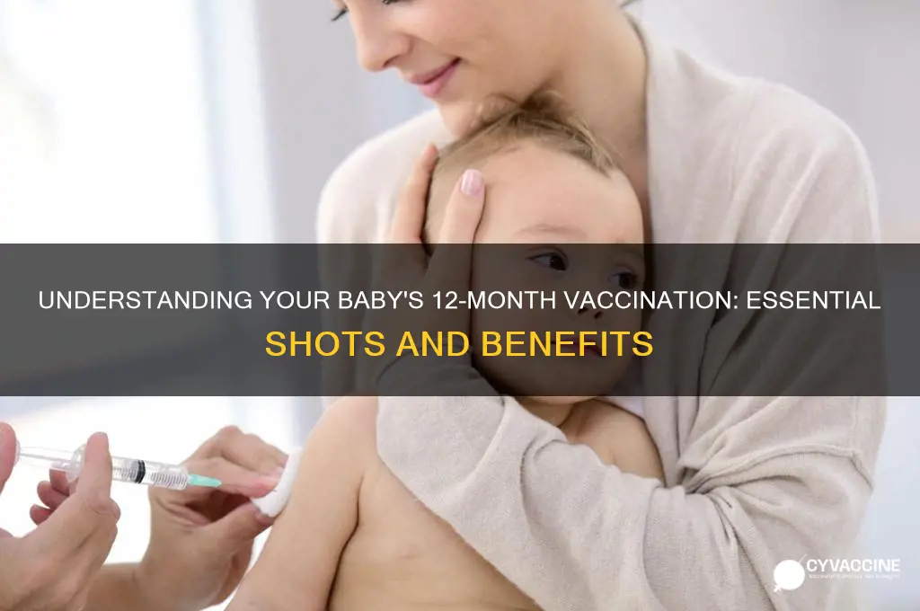 what is the 12 month vaccine for babies