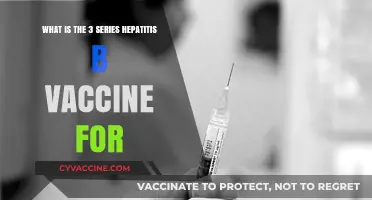 Understanding the Hepatitis B Vaccine: 3-Dose Series Explained