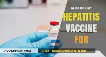 Understanding the Three-Shot Hepatitis Vaccine: Purpose and Benefits Explained