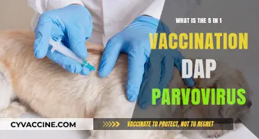 Understanding the 5-in-1 Vaccine: Protecting Pets from Parvovirus & More