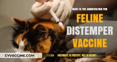 Understanding Feline Distemper Vaccine Abbreviation: A Quick Guide
