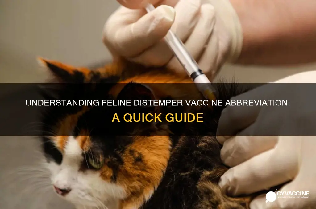 what is the abbreviation for feline distemper vaccine