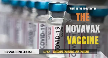 Understanding Novavax's Adjuvant: Key Component in COVID-19 Vaccine Technology